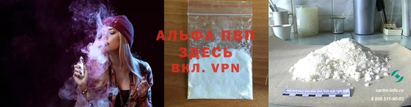 ALPHA PVP Иннополис