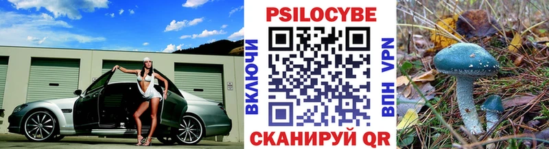 закладки  Архангельск  Галлюциногенные грибы Psilocybine cubensis 