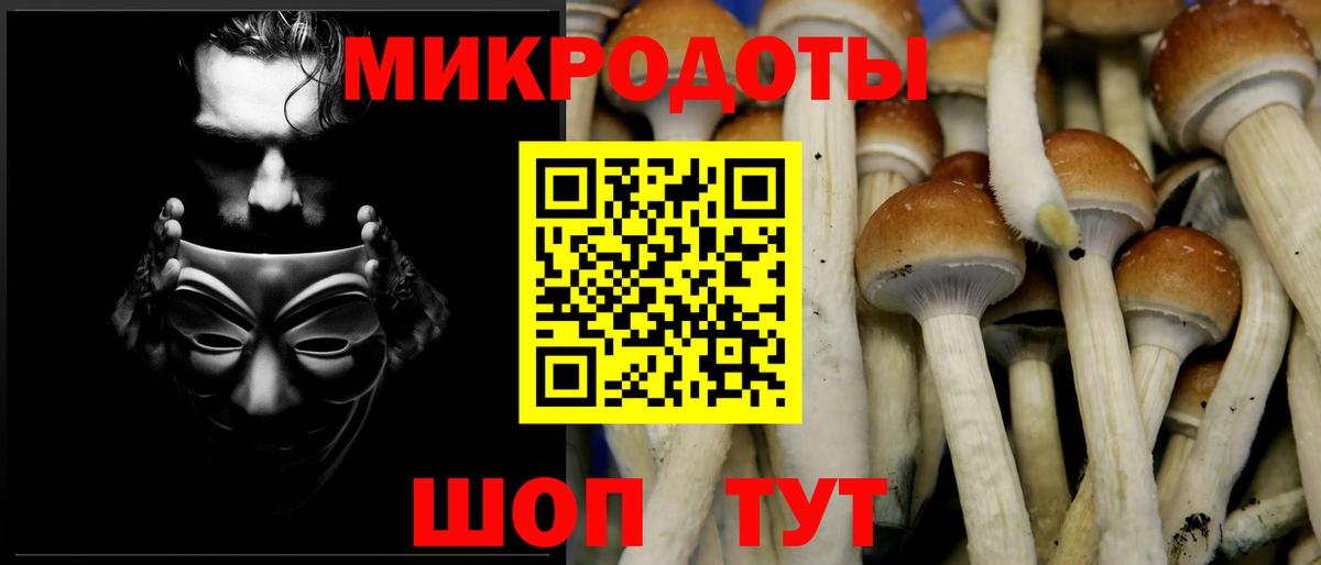 Псилоцибиновые грибы мухоморы Архангельск